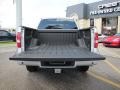 2007 Silver Metallic Ford F150 FX4 SuperCrew 4x4  photo #6