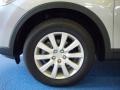 Liquid Platinum Metallic - CX-9 Sport Photo No. 11
