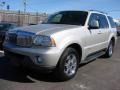 Silver Birch Metallic - Aviator Luxury AWD Photo No. 1
