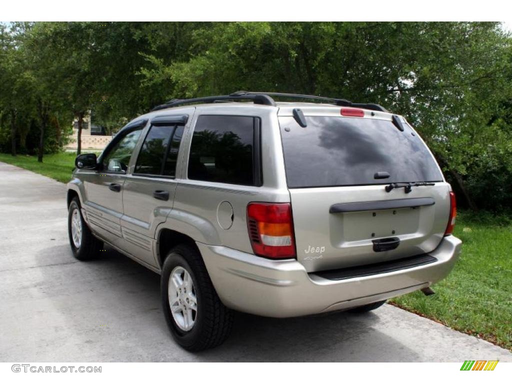 2004 Grand Cherokee Laredo 4x4 - Light Pewter Metallic / Sandstone photo #7