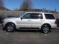 Silver Birch Metallic - Aviator Luxury AWD Photo No. 2