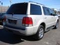 Silver Birch Metallic - Aviator Luxury AWD Photo No. 4