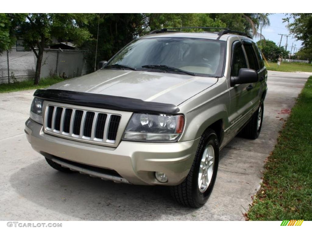 2004 Grand Cherokee Laredo 4x4 - Light Pewter Metallic / Sandstone photo #18