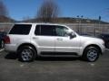 Silver Birch Metallic - Aviator Luxury AWD Photo No. 5