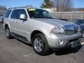 Silver Birch Metallic - Aviator Luxury AWD Photo No. 6