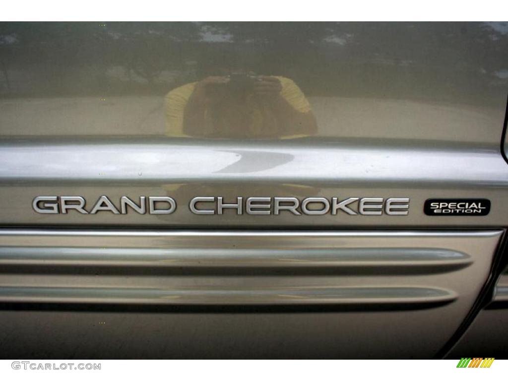 2004 Grand Cherokee Laredo 4x4 - Light Pewter Metallic / Sandstone photo #103