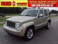 Light Graystone Pearl 2010 Jeep Liberty Limited
