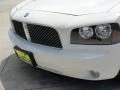 Stone White - Charger R/T Photo No. 12