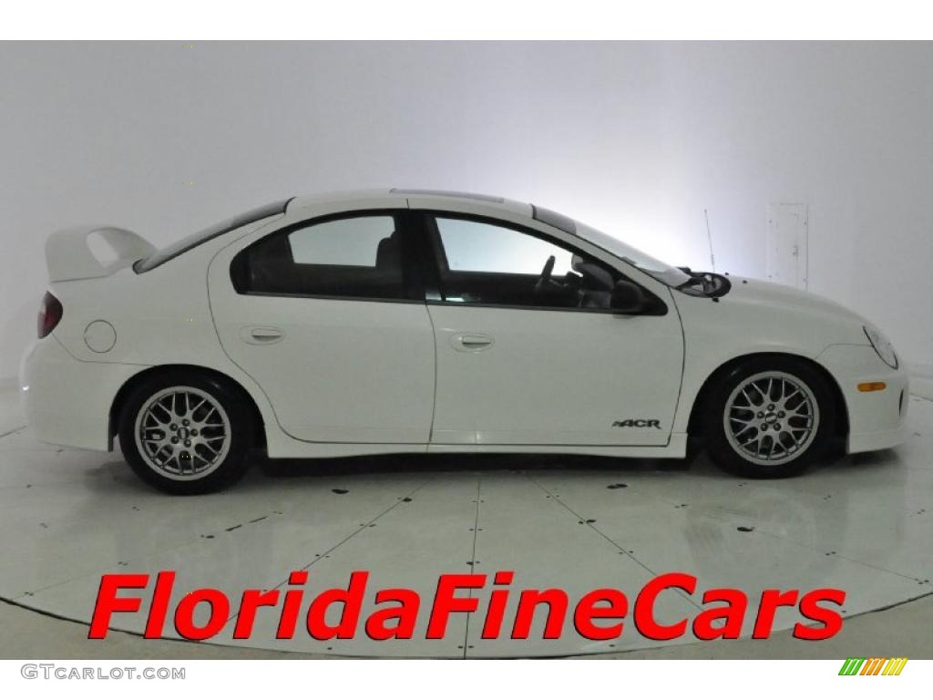2005 Neon SRT-4 ACR - Stone White / Dark Slate Gray photo #4