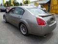 2004 Spirited Bronze Nissan Maxima 3.5 SE  photo #4