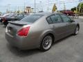 2004 Spirited Bronze Nissan Maxima 3.5 SE  photo #6