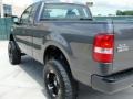 Dark Shadow Grey Metallic - F150 XL Regular Cab Photo No. 5