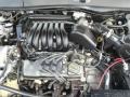 Performance Red Tintcoat - G5  Photo No. 57