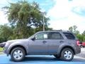 Sterling Grey Metallic - Escape XLT Photo No. 2