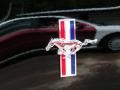 2011 Ebony Black Ford Mustang V6 Premium Coupe  photo #4