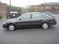 Gray Lustre Metallic - Maxima SE Photo No. 10