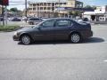 Gray Lustre Metallic - Maxima SE Photo No. 17