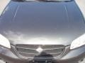 Gray Lustre Metallic - Maxima SE Photo No. 20