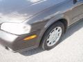 Gray Lustre Metallic - Maxima SE Photo No. 21