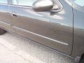 Gray Lustre Metallic - Maxima SE Photo No. 29