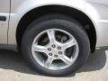 Silverstone Metallic - Uplander LS Photo No. 11