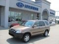 2004 Mojave Mist Metallic Honda CR-V EX 4WD  photo #1