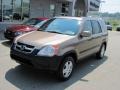 2004 Mojave Mist Metallic Honda CR-V EX 4WD  photo #2