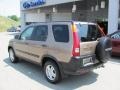2004 Mojave Mist Metallic Honda CR-V EX 4WD  photo #4