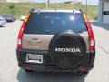 2004 Mojave Mist Metallic Honda CR-V EX 4WD  photo #5