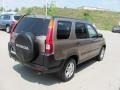 2004 Mojave Mist Metallic Honda CR-V EX 4WD  photo #6
