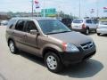 2004 Mojave Mist Metallic Honda CR-V EX 4WD  photo #8