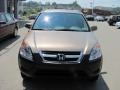 2004 Mojave Mist Metallic Honda CR-V EX 4WD  photo #9