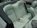 Liquid Platinum - G 37 Convertible Photo No. 21
