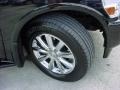 Liquid Onyx Black - QX 56 Photo No. 30