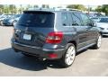 Steel Grey Metallic - GLK 350 Photo No. 16
