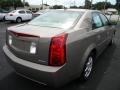 Gold Mist - CTS Sedan Photo No. 7