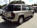 Light Pewter Metallic - TrailBlazer LTZ 4x4 Photo No. 9