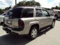 2002 Light Pewter Metallic Chevrolet TrailBlazer LTZ 4x4  photo #9