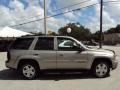 2002 Light Pewter Metallic Chevrolet TrailBlazer LTZ 4x4  photo #10