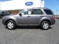 Sterling Grey Metallic - Escape XLT Photo No. 5