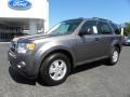 Sterling Grey Metallic - Escape XLT Photo No. 6