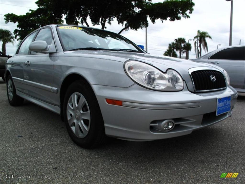 2004 Sonata  - Brilliant Silver / Black photo #1