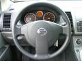 Brilliant Silver - Sentra 2.0 Photo No. 16
