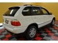 Alpine White - X5 3.0i Photo No. 6