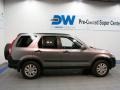 Silver Moss Metallic - CR-V EX 4WD Photo No. 6