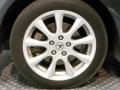 Carbon Gray Pearl - TSX Sedan Photo No. 21