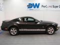 2007 Alloy Metallic Ford Mustang V6 Premium Coupe  photo #6