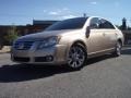 Desert Sand Mica 2008 Toyota Avalon XLS