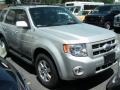 2008 Silver Metallic Ford Escape Limited 4WD  photo #5