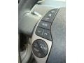 Driftwood Pearl - Prius Hybrid Photo No. 15